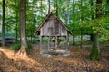 An old wooden hut with a feeder stands in the woods among the green deciduous trees. Autumn leaves lie on the ground. Royalty Free Stock Photo