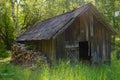 Old wooden hut with firewood near the wall in the forest Royalty Free Stock Photo