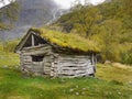 Old wooden hut in forest Royalty Free Stock Photo