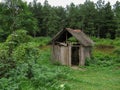 Old wooden hut near the lake in the forest. Royalty Free Stock Photo