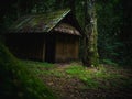 Old Wooden hut in rain forest in dramatic style. Royalty Free Stock Photo