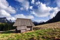 Old wooden hut in spring High Tatras Royalty Free Stock Photo