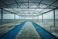 Old wooden jetty, pier, during storm on the sea. Dramatic sky with dark, heavy clouds. Vintage Royalty Free Stock Photo