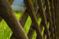 An old wooden lattice fence covered with lichen moss. Royalty Free Stock Photo