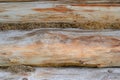 Old wooden log house wall with moss insulation. Royalty Free Stock Photo