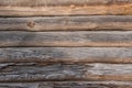 Old wooden logs eaten by bark beetle, with cracks and breaks. Wood texture. Royalty Free Stock Photo