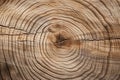 Old wooden oak tree cut surface. Generative AI Royalty Free Stock Photo