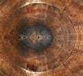 Old wooden oak tree cut surface. Brown Rough organic texture of tree rings Royalty Free Stock Photo
