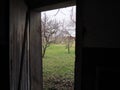 Old wooden open door. Crib doors, stall for livestock or garage. Wooden beams and doorway. Spring greens from the door. Doorway to Royalty Free Stock Photo