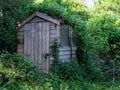 Old wooden outbuilding, shed, overgrown by weeds. Abandoned garden, allotment. Royalty Free Stock Photo