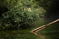 Wooden paddle over misty water Royalty Free Stock Photo