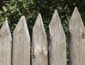 old wooden palisade Royalty Free Stock Photo