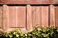 Old wooden paneling with green vine, cracked wooden board