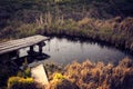 Old wooden path over small pond in garden in early spring Royalty Free Stock Photo