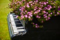 Old wooden piano decorated with flowers Royalty Free Stock Photo