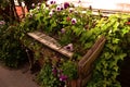 Old wooden piano on the street covered with ivy and flowers Royalty Free Stock Photo