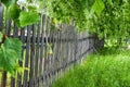 old wooden picket fence amidst the greenery on a summer day. Background, location for outdoor and countryside Royalty Free Stock Photo