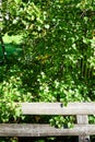 old wooden picket fence amidst the greenery on a summer day. Background, location for outdoor and countryside Royalty Free Stock Photo