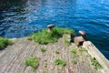 Old wooden pier in Bergen