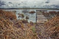 Old wooden pier with dry reed Royalty Free Stock Photo