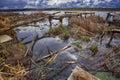 Old wooden pier with dry reed Royalty Free Stock Photo