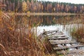 Old wooden pier with fall yellow leaves on a forest lake. Quiet and calm. Place for relaxation and meditation. Autumn time. Royalty Free Stock Photo
