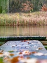 Old wooden pier with fall yellow leaves on a forest lake. Quiet and calm