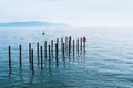 Old wooden pier or jetty with lifebuoys on a sea beach