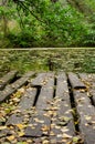 old wooden pier on the lake on the background of the fore Royalty Free Stock Photo