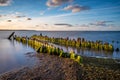 Old wooden piles on the beach.Baltic Sea, Royalty Free Stock Photo
