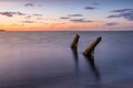 Old wooden piles on the beach.Baltic Sea,