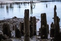 Old wooden piles of old ruined pier out of the water Royalty Free Stock Photo