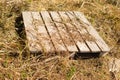 Old wooden plank background. texture with wood