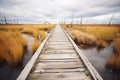 old wooden plank boardwalk in a marshland