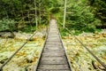 Old wooden plank bridge across beautiful river. Overcoming an obstacle concept. Royalty Free Stock Photo