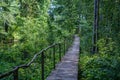 old wooden plank footbridge with stairs in forest Royalty Free Stock Photo