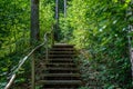 old wooden plank footbridge with stairs in forest Royalty Free Stock Photo