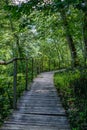 old wooden plank footbridge with stairs in forest Royalty Free Stock Photo