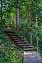 old wooden plank footbridge with stairs in forest Royalty Free Stock Photo