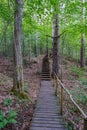 old wooden plank footbridge with stairs in forest Royalty Free Stock Photo