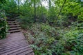 old wooden plank footbridge with stairs in forest Royalty Free Stock Photo