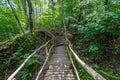 old wooden plank footbridge with stairs in forest Royalty Free Stock Photo