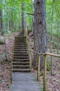 old wooden plank footbridge with stairs in forest Royalty Free Stock Photo