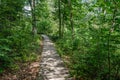 old wooden plank footbridge with stairs in forest Royalty Free Stock Photo