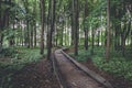 Old wooden plank pathway walkway in green summer forest Royalty Free Stock Photo