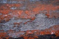 Old wooden plank with red colour painted coating worn out texture