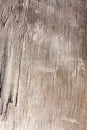 Old wooden plank texture, shabby faded weathered surface tree with cracks and scratches, ancient wood board, abstract background, Royalty Free Stock Photo