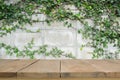 Old wooden planks with ivy. Royalty Free Stock Photo