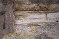 Old wooden planks set into cement with lichen Royalty Free Stock Photo