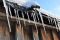 Old wooden planks wall of henhouse with rusty nails covered with white snow on roof and icicles Royalty Free Stock Photo